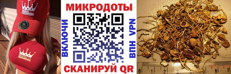Галлюциногенные грибы MAGIC MUSHROOMS  купить наркоту  Северск 