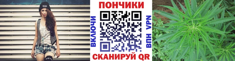 KRAKEN ТОР  Северск  Шишки марихуана марихуана  купить наркоту 